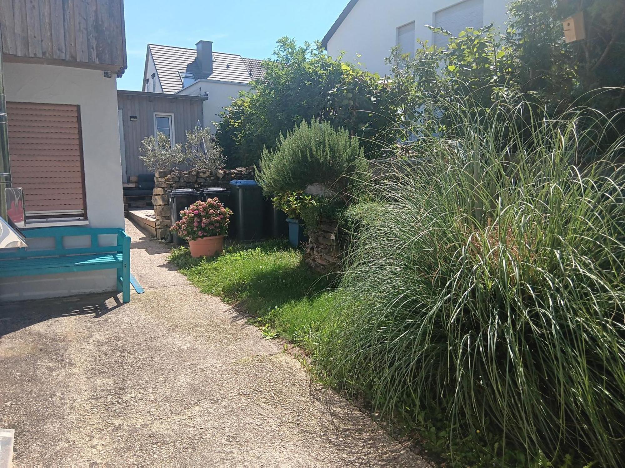 Ferienwohnung Mattheiser Weiher Τρίερ Εξωτερικό φωτογραφία